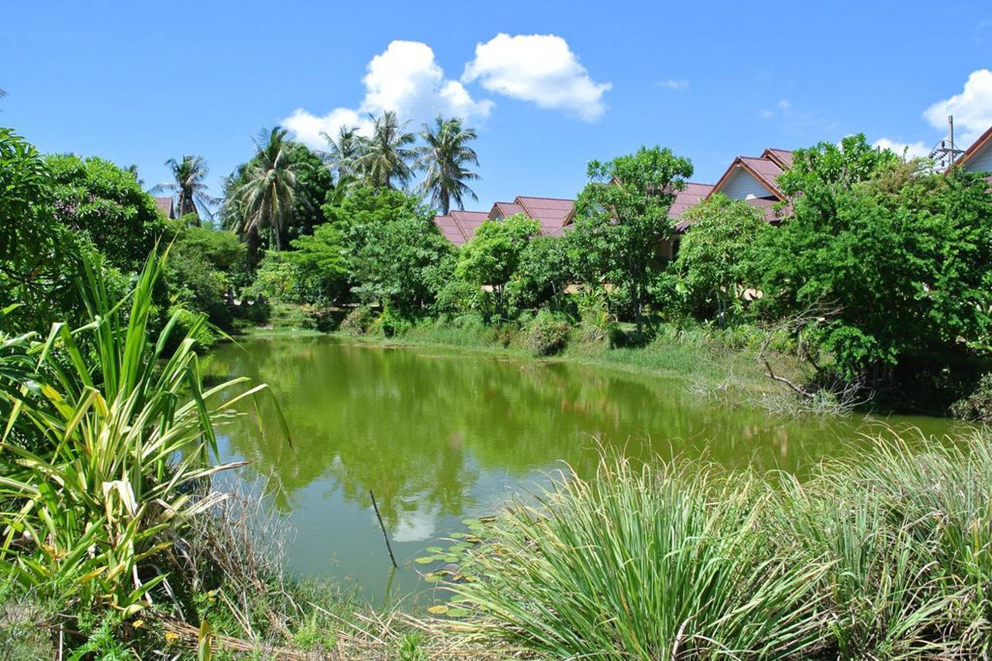Baan Chay Lay Koh Phangan Exterior photo